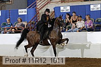 11r12_1011 proof
