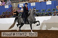 11r12_1013 proof