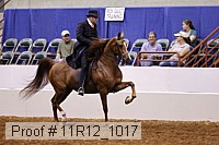 11r12_1017 proof