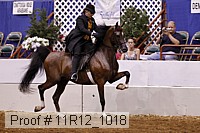 11r12_1018 proof