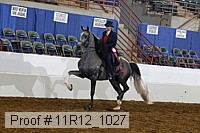 11r12_1027 proof