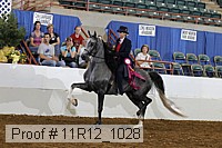 11r12_1028 proof