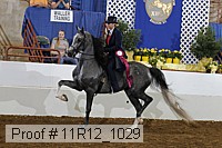 11r12_1029 proof