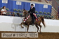 11r12_1031 proof
