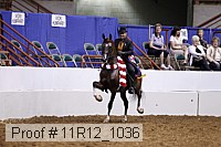 11r12_1036 proof