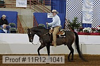 11r12_1041 proof