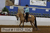 11r12_1042 proof