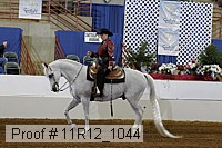 11r12_1044 proof