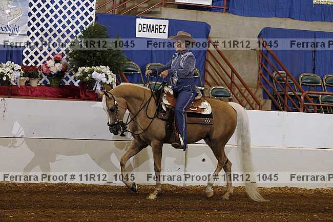 Proof 11r12_1045