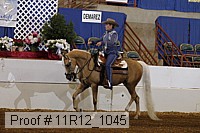 11r12_1045 proof