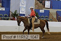 11r12_1047 proof