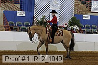 11r12_1049 proof