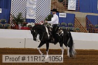 11r12_1050 proof
