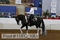 11r12_1051 proof
