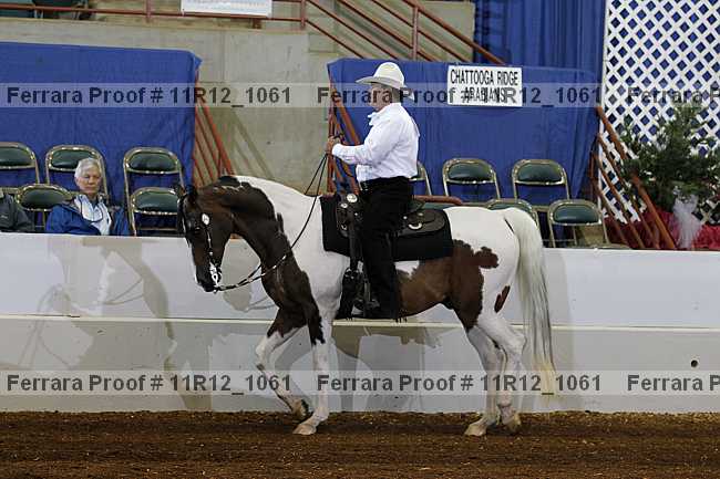 Proof 11r12_1061