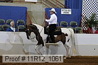 11r12_1061 proof