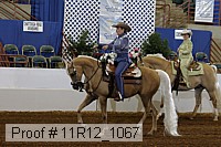 11r12_1067 proof