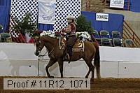 11r12_1071 proof