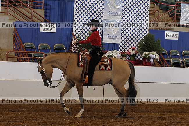 Proof 11r12_1073