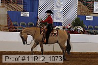 11r12_1073 proof