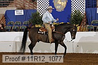 11r12_1077 proof