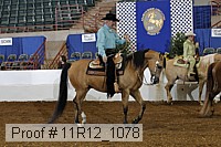 11r12_1078 proof