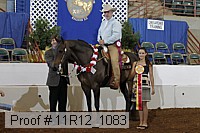 11r12_1083 proof