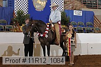 11r12_1084 proof