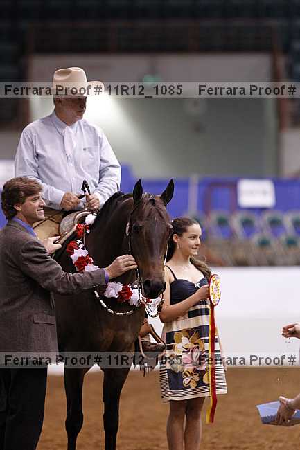 Proof 11r12_1085
