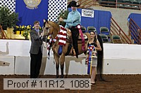 11r12_1088 proof