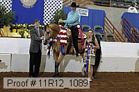 11r12_1089 proof