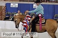 11r12_1091 proof