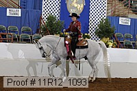 11r12_1093 proof