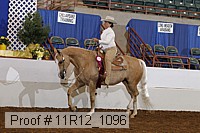 11r12_1096 proof
