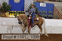 11r12_1099 proof