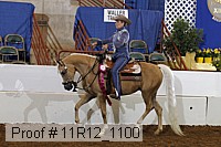 11r12_1100 proof