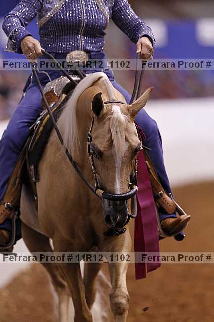 Proof 11r12_1102