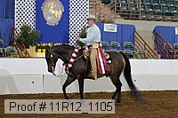 11r12_1105 proof