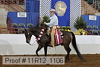 11r12_1106 proof