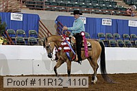 11r12_1110 proof