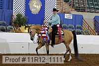 11r12_1111 proof