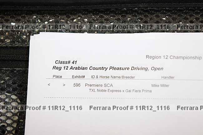 Proof 11r12_1116