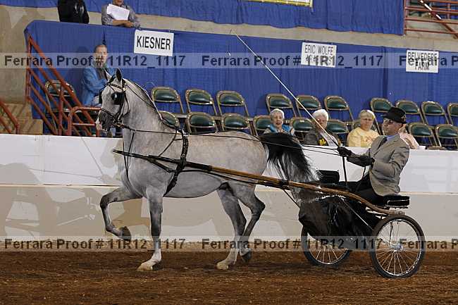 Proof 11r12_1117