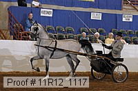 11r12_1117 proof