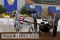 11r12_1122 proof