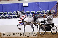 11r12_1125 proof