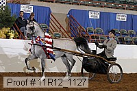 11r12_1127 proof