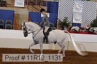 11r12_1131 proof