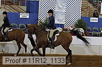 11r12_1133 proof