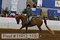 11r12_1137 proof